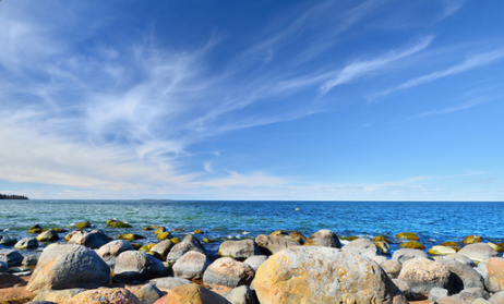 芝麻信用分一个月可以修复几次