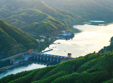 达人营销正在进入最难的一年