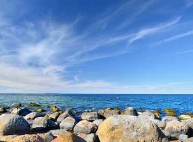 抖音怎么快速涨粉