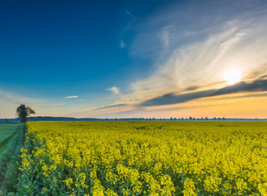 达人探店是粉丝越多越赚钱还是等级越高越赚钱