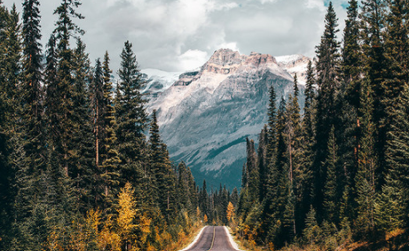 抖音直播人气怎么涨