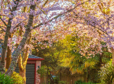 抖音怎么快速涨粉
