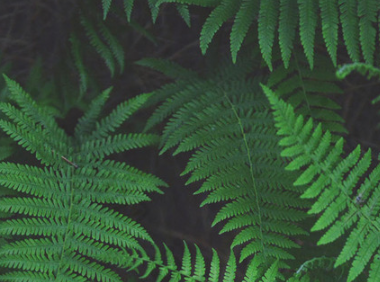 一条视频1000万多赞！抖音今年最火烟花视频爆红