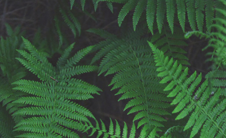 淘宝直播如何开通？怎样才能加入淘宝直播平台？