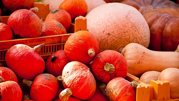 抖音直播小黄车和小房子有什么区别