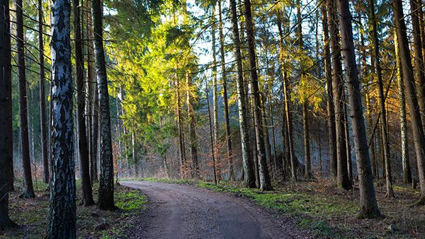 抖音直播人气怎么涨