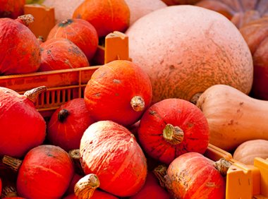 在抖音上玩游戏也能月入过万，抖音游戏发行人计划详解