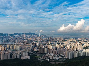 想靠抖音短视频赚钱，你要做那头高产的猪