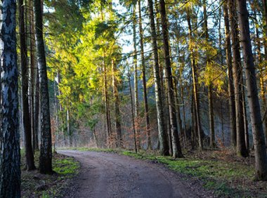 抖音种草账号，月利润1W+的运营分享