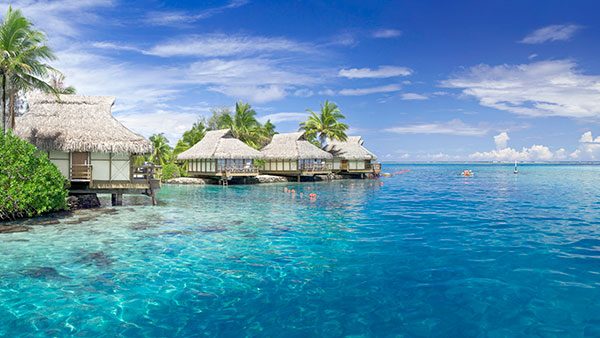 淘宝卖家开通直播的步骤