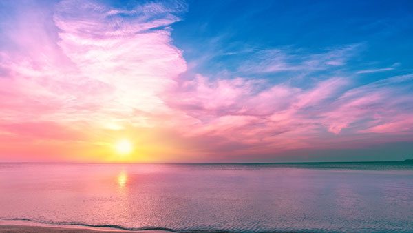 小红书运营从0到1全攻略：新手避坑指南